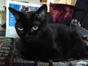 Deep in thought about the next edit. 