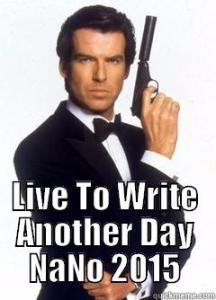 Support Marilyn Vix to write another year during NANO 2015!