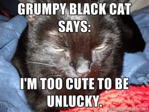 grumpyblkcat
