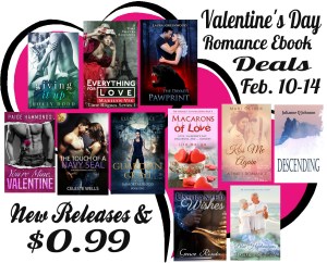 valentineromancebanner2